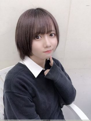 美人社长．肉虐の槛小说