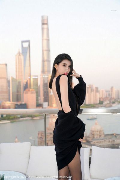 凤仪慕月小说