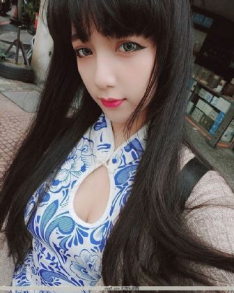 豺狼当道小说